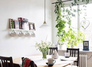 室內植物的幾種裝飾手法