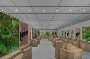 成都專業特產店裝修 特產店設計 特產店翻新 裝潢,成都專業特產店裝修 特產店設計 特產店翻新 裝潢生產廠家,成都專業特產店裝修 特產店設計 特產店翻新 裝潢價格