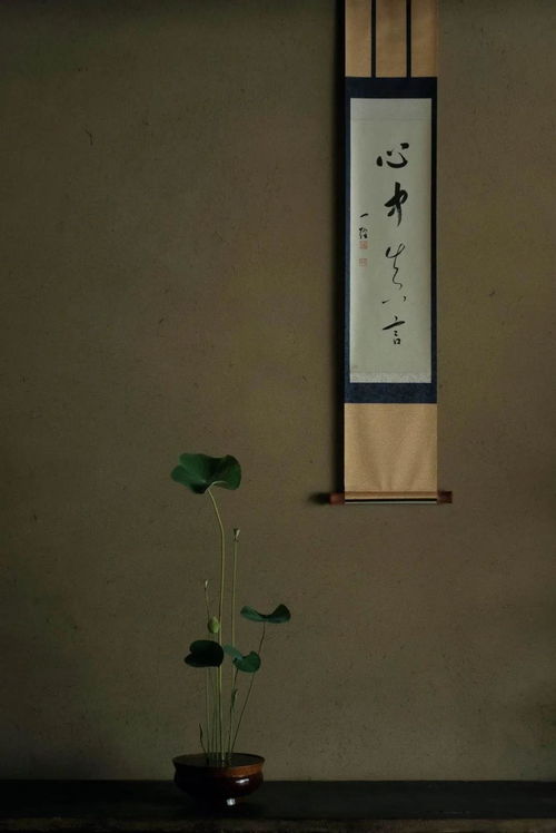 茶室裝飾中花道插花給你帶來不一樣的茶空間境界